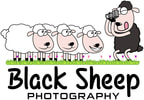 Black Sheep Photography